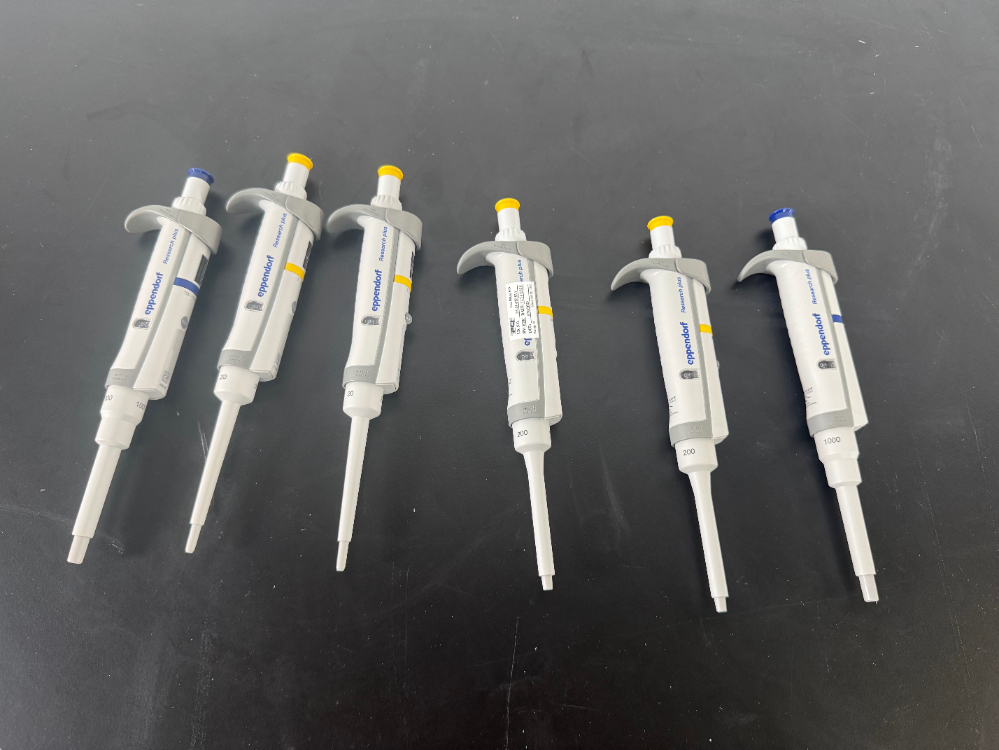 Image of Eppendorf Research Plus Single Channel Pipettes - Quantity 6